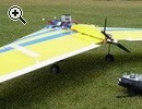 Nurflgler: Queen Bee motorisiert - Vorschaubild 2