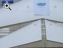 Nurflgler: Queen Bee motorisiert - Vorschaubild 3