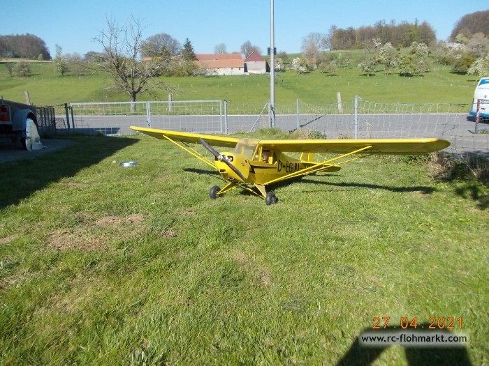 Piper PA18 Super Cub von Toni Clark