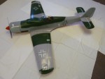 Warbird Focke Wulf Fw190