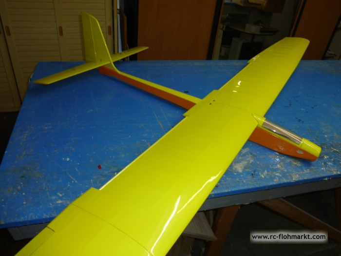 F3B Segler Spannweite 250 cm