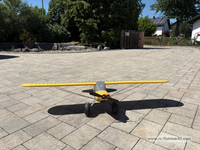 CarbonCup 1300mm RTF