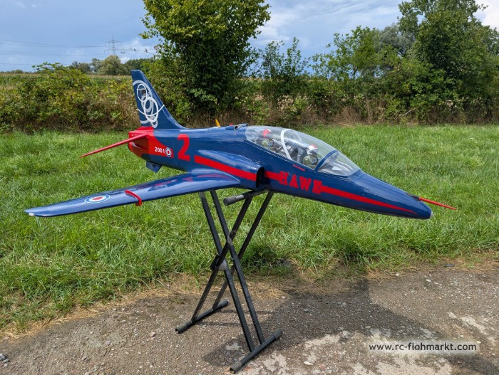 Bea Hawk Phoenix