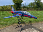 Bea Hawk Phoenix