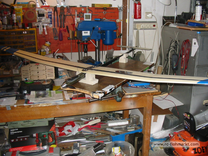 HORESJI Q 12X Leichtwindsegler